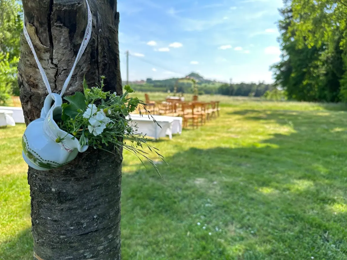 Porzellantasse mit Wiesenblumen am Baumstamm, dahinter Tafeln im Garten und der Parkstein